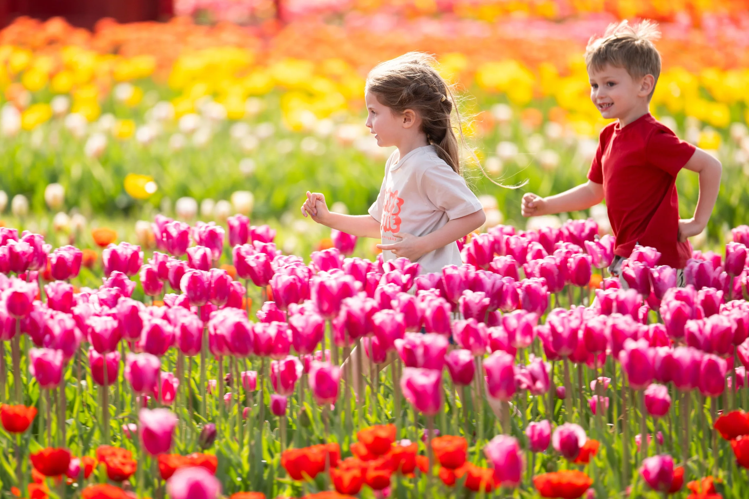 Tulip Fest 2026 - ANYTIME Ticket - Image 3