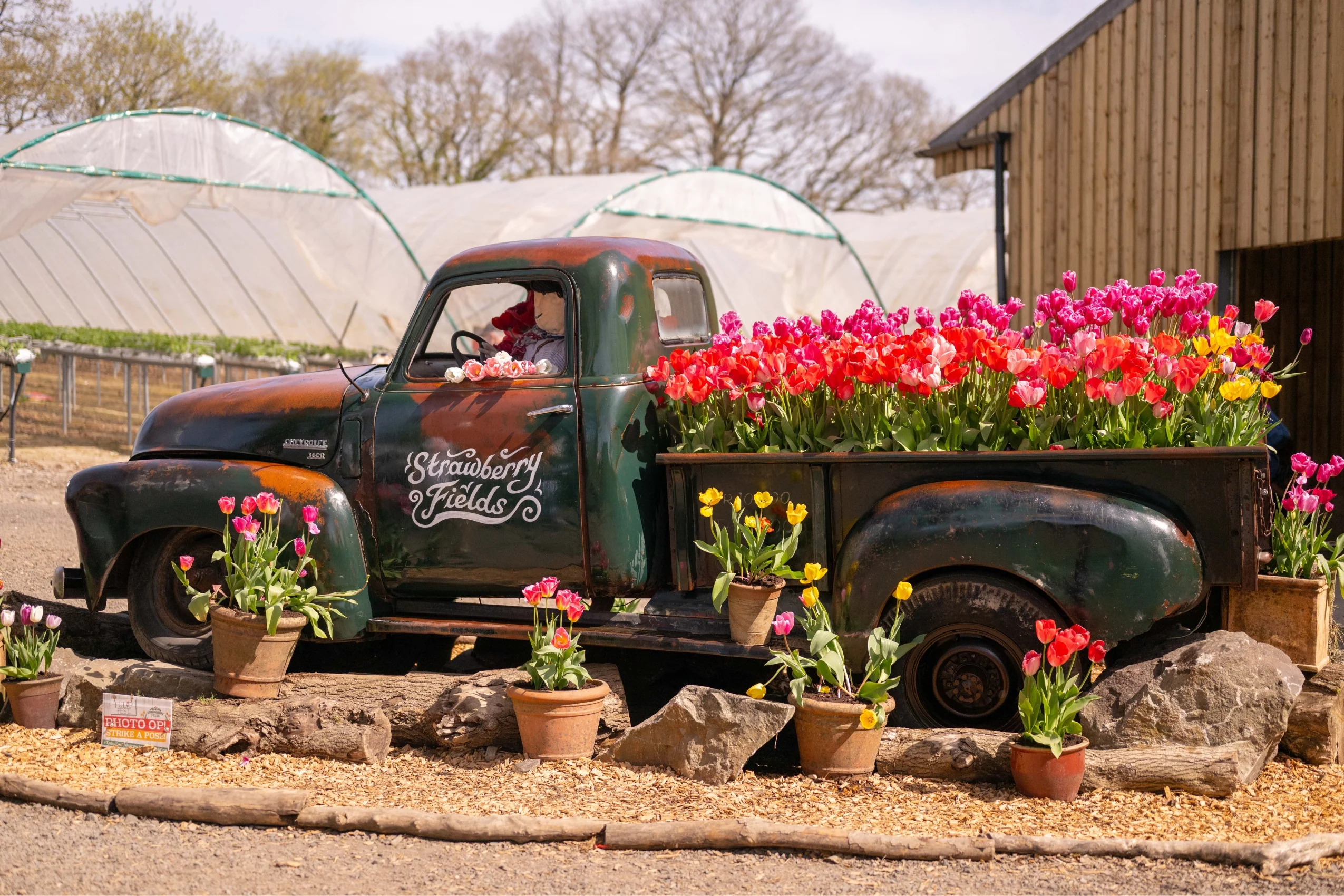Tulip Fest 2026 - ANYTIME Ticket - Image 5