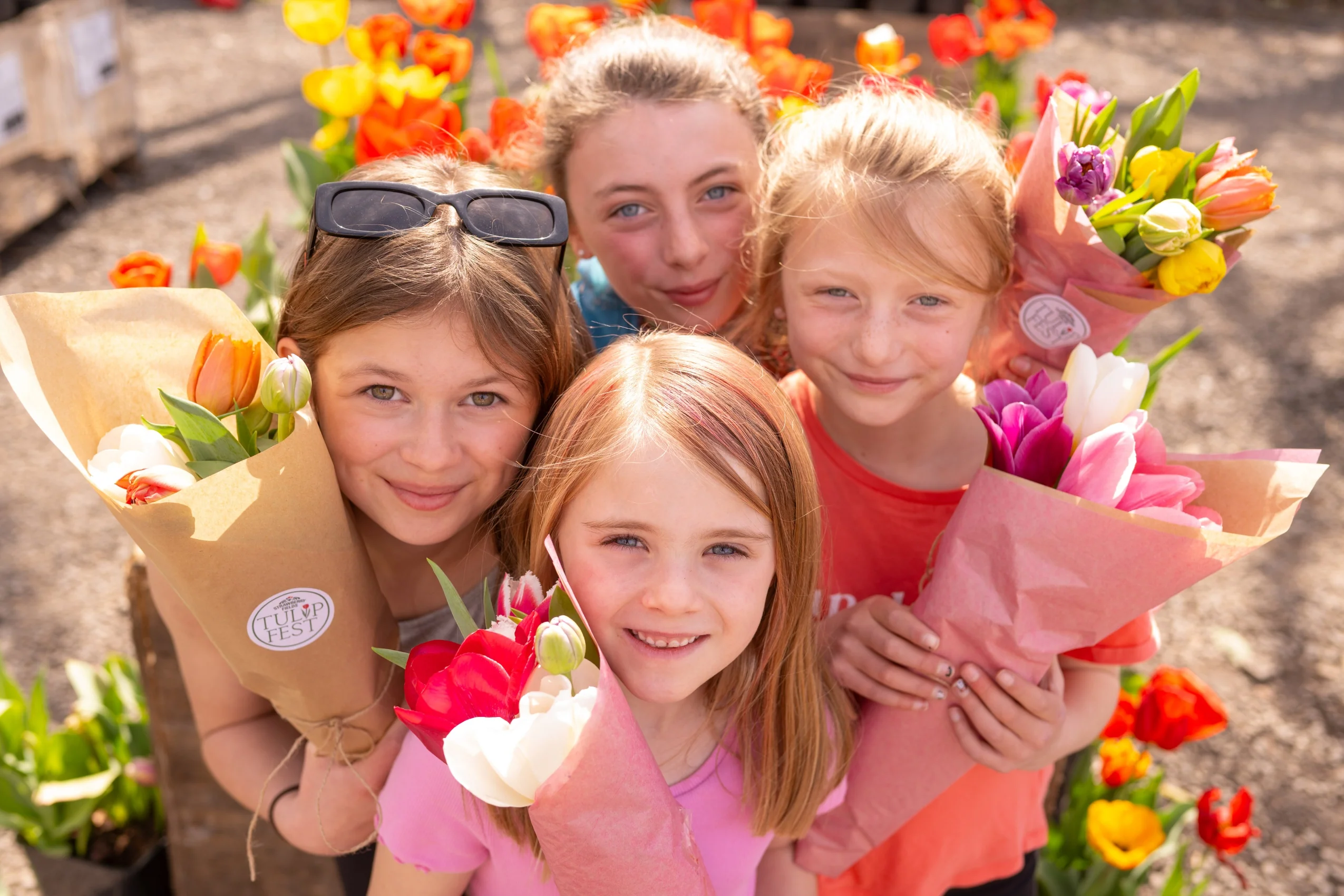 Tulip Fest - Thur 9th April 2026 - Image 3
