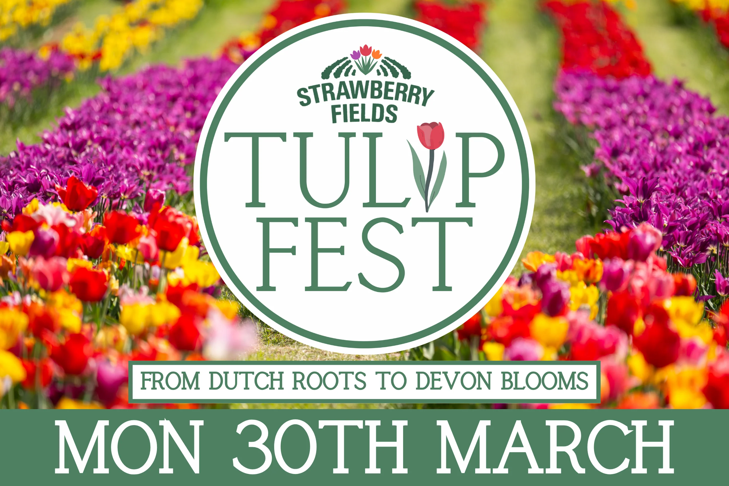Tulip Fest - Mon 30th March 2026