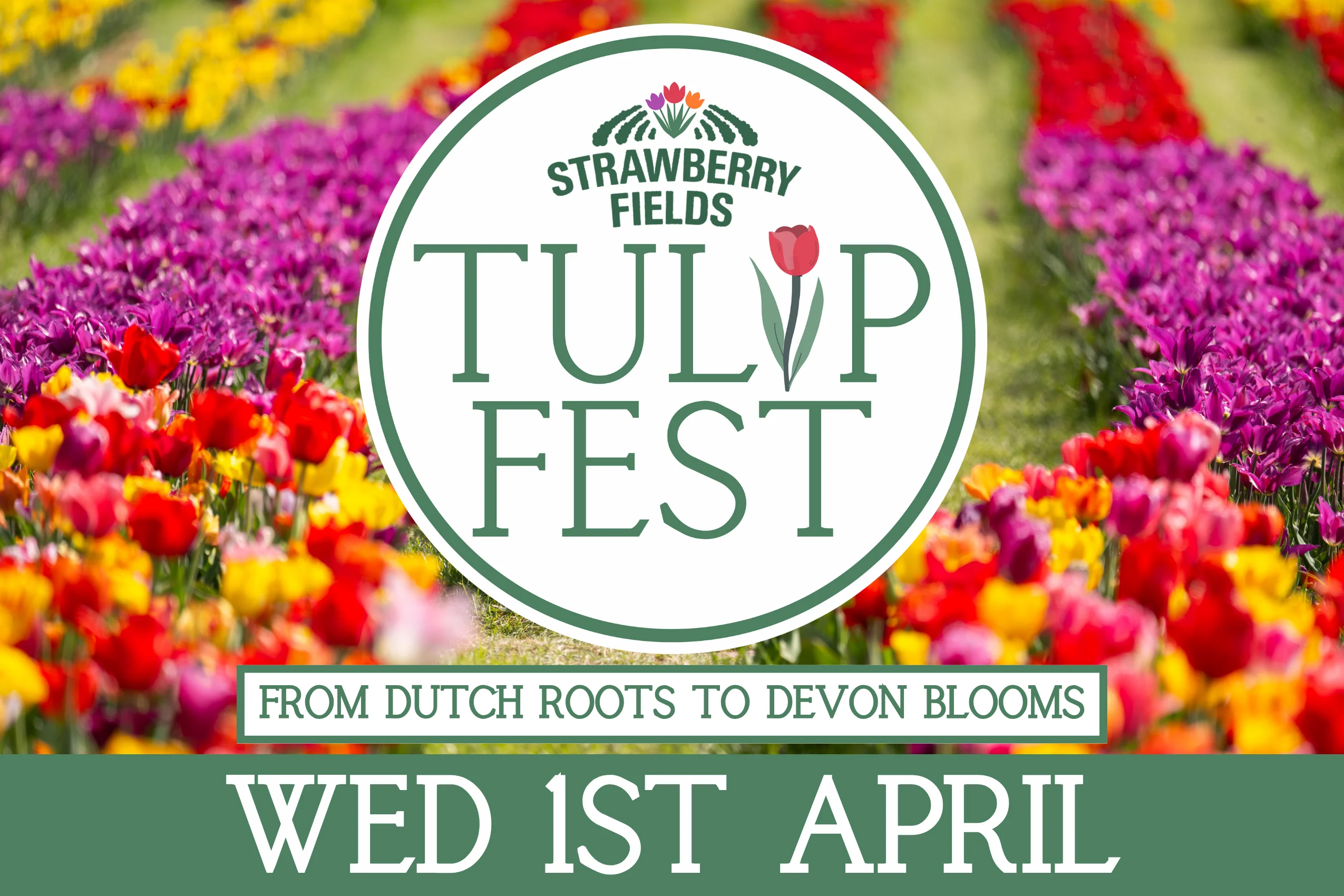 Tulip Fest - Wed 1st April 2026
